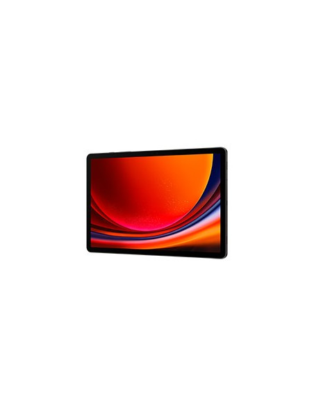 Samsung Galaxy Tab S9 (X716) 5G 8/128Gb Graphite