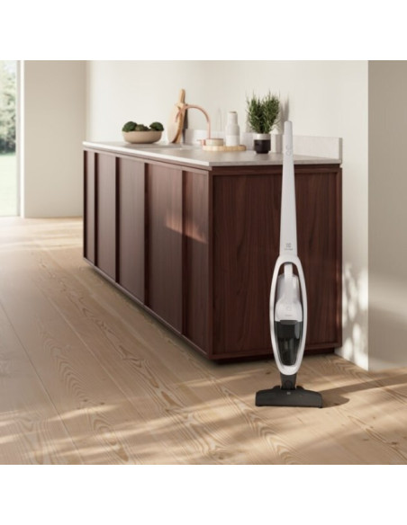 Odkurzacz Electrolux Es31Cb18Sh