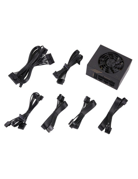 Zasilacz Fortron Dagger Pro 650W 648 W 650 W