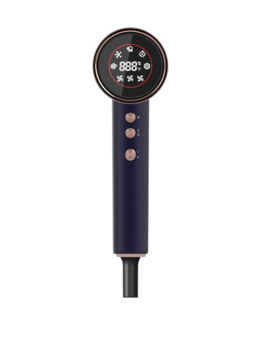 Suszarka Do Włosów Bldc Vv8100 Concept