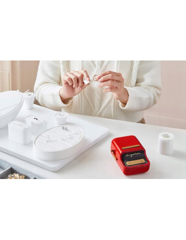 Drukarka Etykiet Niimbot B21S Red