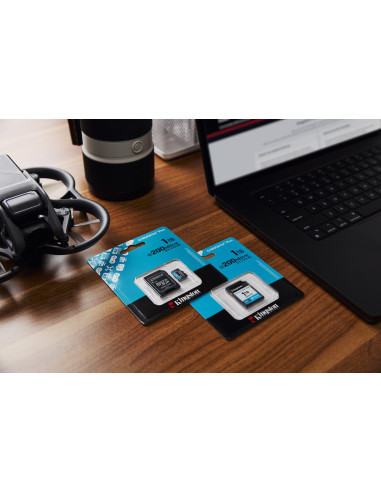 Karta Pamięci Kingston Canvas Go Plus Sdg4/1Tb (1Tb  Class U3, V30  Karta Pamięci)