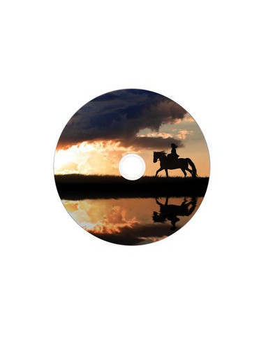 Verbatim 43703 Płyta Dvd 8,5 Gb Dvd-R 50 Szt.