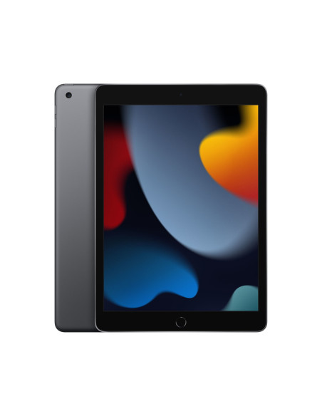 Apple 10.2-Inch Ipad Wi-Fi 64Gb Space Grey