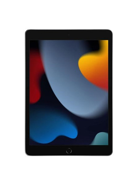 Apple 10.2-Inch Ipad Wi-Fi 64Gb Space Grey