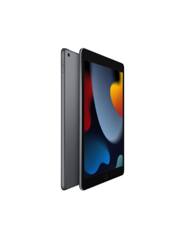 Apple 10.2-Inch Ipad Wi-Fi 64Gb Space Grey