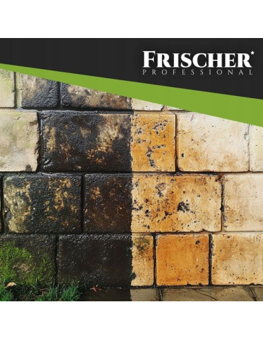 Płyn Do Czyszczenia Elewacji Frischer 1L Konc.