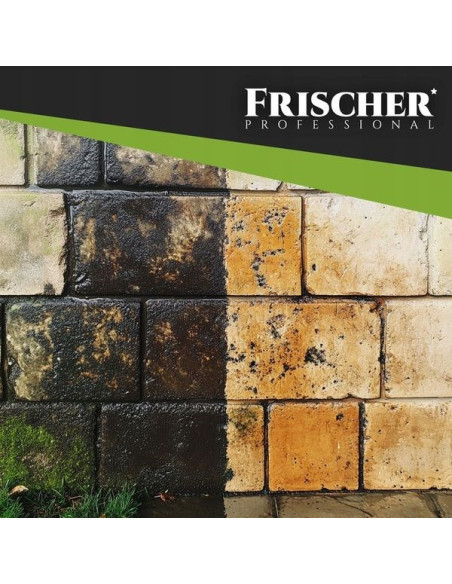 Płyn Do Czyszczenia Elewacji Frischer 1L Konc.