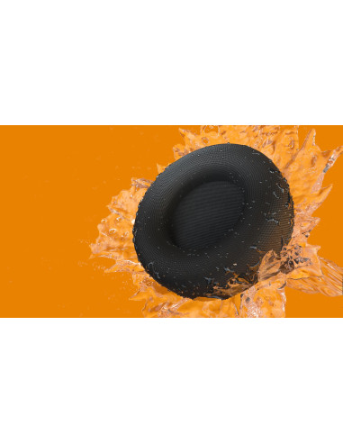 Bezprzewodowe Słuchawki Sportowe Philips Taa4216Bk/00, Czarne