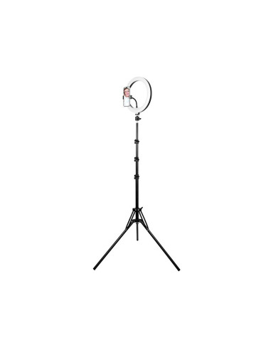 Tracer Lampa Pierścieniowa Ring 30Cm Statyw