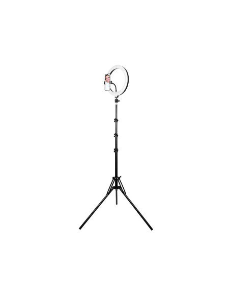 Tracer Lampa Pierścieniowa Ring 30Cm Statyw