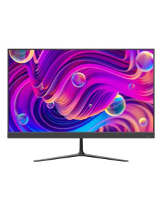 Monitor Ds-D5024F2-Bv2S