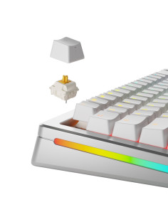 Glorious Panda Przełączniki Standardowe, Mechaniczne, 5-Pinowe, Dotykowe, Mx-Stem, 50G - Nasmarowane, 36 Sztuk 2