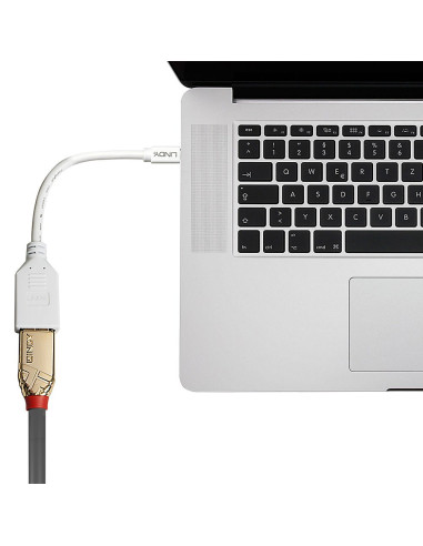 Lindy 41021 Kabel Displayport 0,15 M Mini Displayport Biały