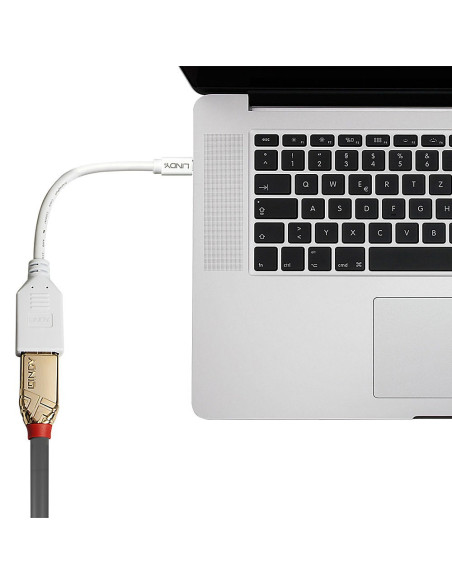 Lindy 41021 Kabel Displayport 0,15 M Mini Displayport Biały