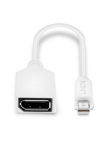 Lindy 41021 Kabel Displayport 0,15 M Mini Displayport Biały