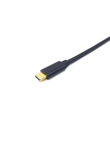 Equip 133427 Adapter Kablowy 2 M Usb Type-C Displayport Szary