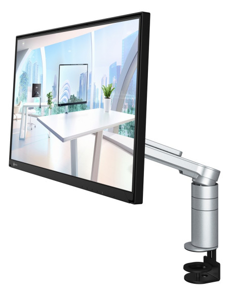 Monitor Eizo 60.5Cm (23,8") Flt 16:09 Dp+Usb-C Ips Schwenkarm Black