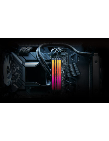Kingston Technology Fury Renegade Rgb Moduł Pamięci 32 Gb 2 X 16 Gb Ddr5 7200 Mt/S
