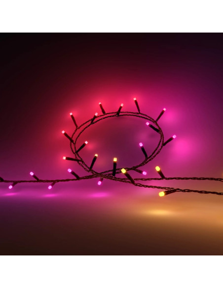 Philips Hue Festavia Łańcuchy Świetlne 250 Led, 20M|14 W|Zmienna