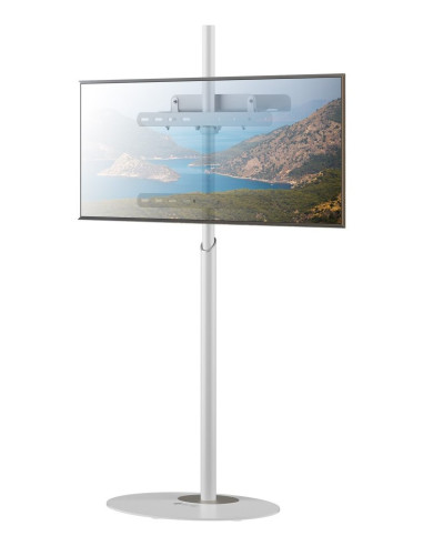 Techly Ica-Tr544 Uchwyt Do Telewizorów 165,1 Cm (65") Biały