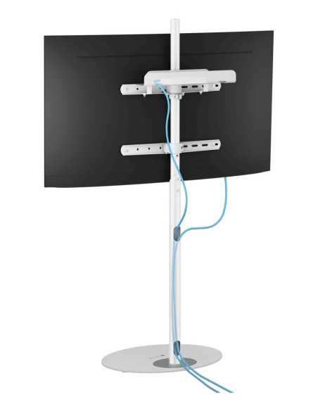 Techly Ica-Tr544 Uchwyt Do Telewizorów 165,1 Cm (65") Biały
