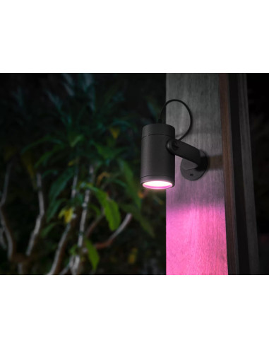 Hue Lily Czarny Reflektor Ogrodowy Led 8W 2000-6500K 600Lm Rgb Wca Ip65 Aluminium