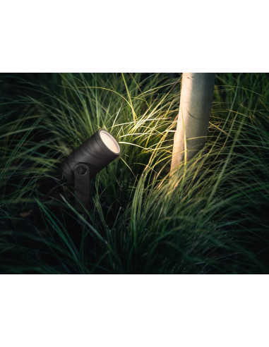 Hue Lily Czarny Reflektor Ogrodowy Led 8W 2000-6500K 600Lm Rgb Wca Ip65 Aluminium