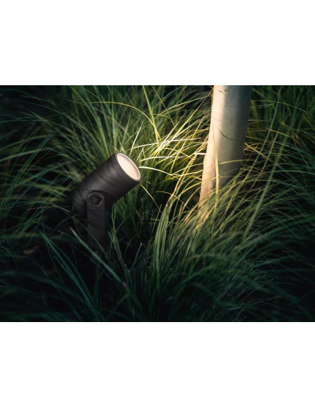 Hue Lily Czarny Reflektor Ogrodowy Led 8W 2000-6500K 600Lm Rgb Wca Ip65 Aluminium
