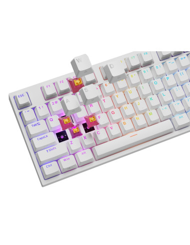 Genesis Nkg-2300 Klawiatura Uniwersalne Usb Qwerty Angielski Biały