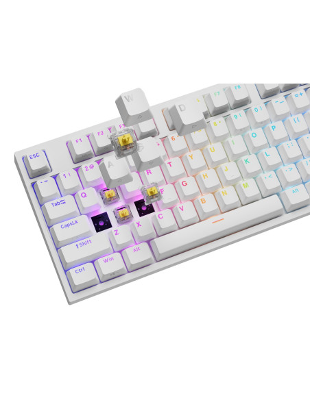 Klawiatura Genesis Thor 404 Uniwersalne Usb Qwerty Angielski Biały