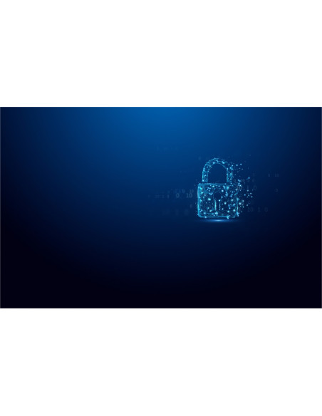 Kingston Technology Ironkey Vault Privacy 50 Pamięć Usb 64 Gb Usb Typu-A 3.2 Gen 1 (3.1 Gen 1) Czarny, Niebieski