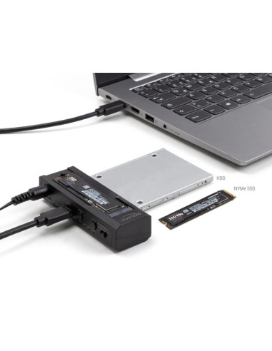Delock - Kontroler Pamięci - Funkcja Klonowania - 2.5", 3.5", M.2 (6.4 Cm, 8.9 Cm) - Karta M.2 (Pcie Nvme I Sata) / Sata Ssd - U