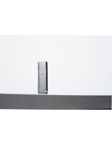 Kingston Technology Ironkey Locker+ 50 Pamięć Usb 128 Gb Usb Typu-A 3.2 Gen 1 (3.1 Gen 1) Srebrny