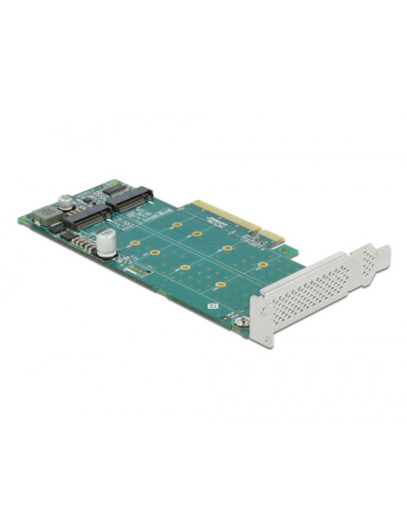 Delock Pci Express X8 Card 2 X Internal Nvme M.2 Key M - Bifurcation - Storage Controller - M.2 Nvme Card - Pcie 4.0 X8