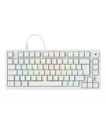 Sharkoon Gaming Tastatur Skiller Sgk25 Weiăź De