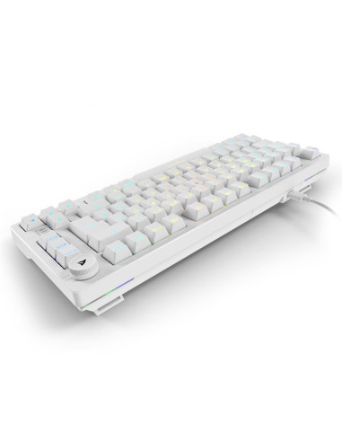 Sharkoon Gaming Tastatur Skiller Sgk25 Weiăź De