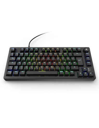 Klawiatura Sharkoon Gaming Tastatur Skiller Sgk25 Schwarz De