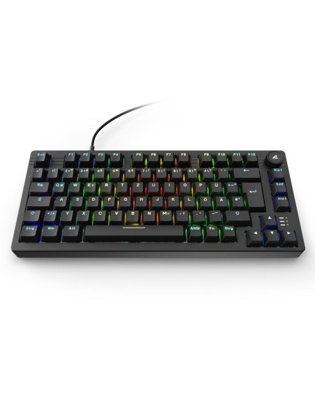 Klawiatura Sharkoon Gaming Tastatur Skiller Sgk25 Schwarz De
