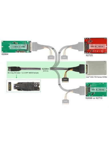 Adapter Nvme Delock M.2 Key M Zu U.2 Sff-8639 Nvme Adapter 50Cm