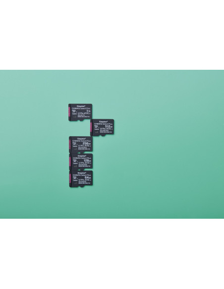 Kingston Microsdxc 64Gb Canvas Select Plus 3 + Adp