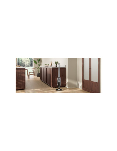 Odkurzacz Electrolux Es52Cb21Db