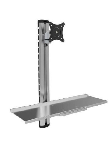 Techly Ica-Plw 01 Uchwyt / Stojak Do Monitorów 68,6 Cm (27") Ściana Srebrny