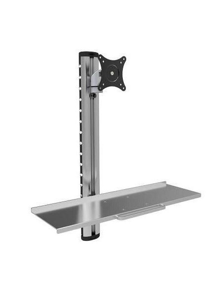 Techly Ica-Plw 01 Uchwyt / Stojak Do Monitorów 68,6 Cm (27") Ściana Srebrny
