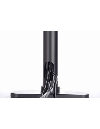 Uchwyt Iiyama Ds1002D-B1 - Stand Z Ramieniem Regulowanym