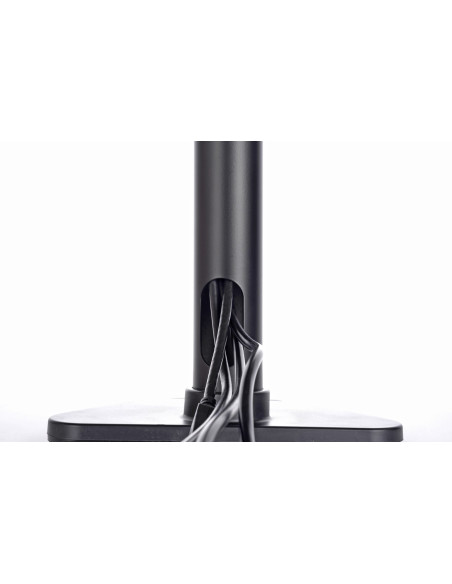 Uchwyt Iiyama Ds1002D-B1 - Stand Z Ramieniem Regulowanym