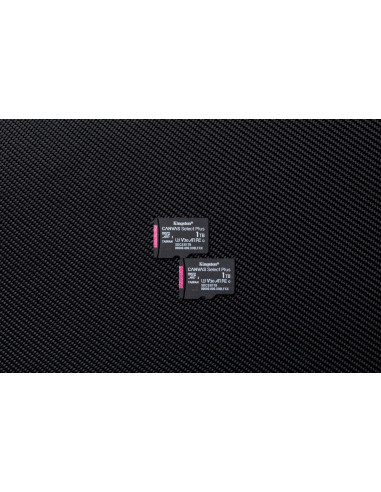 Kingston Microsdxc 1Tb Canvas Select Plus Gen3