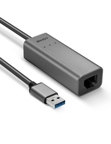 Lindy 43313 Zmieniacz Płci / Kabli Usb-A Rj-45 Srebrny