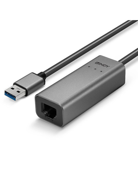 Lindy 43313 Zmieniacz Płci / Kabli Usb-A Rj-45 Srebrny