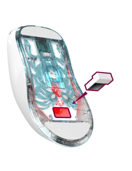 Defender Mysz Bezprzewodowa Fame Gm-516 Rf+Bt 10000Dpi 6P Biała 52516